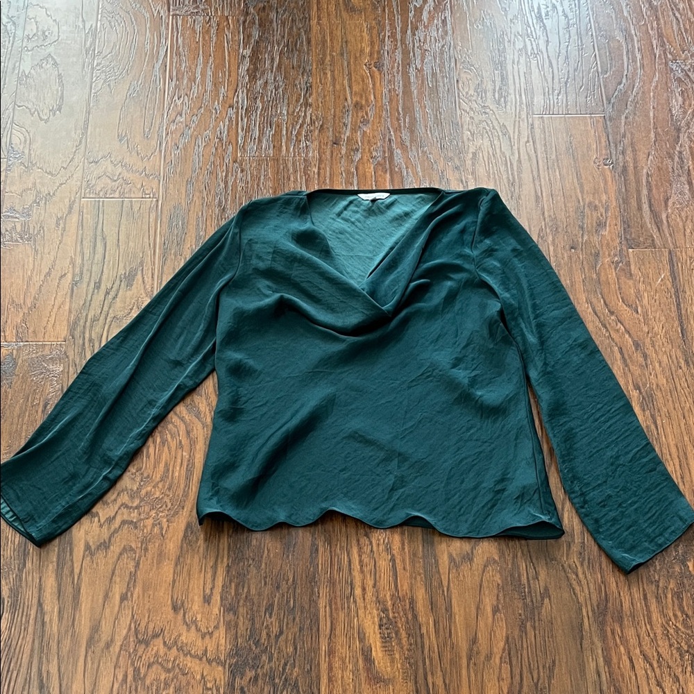 Naked Zebra Deep Green Blouse